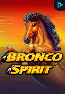 Bronco-Spirit